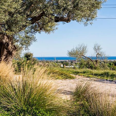 Willa Quinta Da Baleeira Tavira Zewnętrze zdjęcie