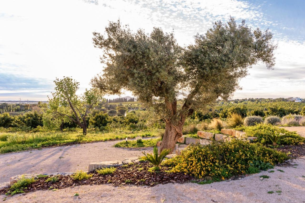 Willa Quinta Da Baleeira Tavira Zewnętrze zdjęcie