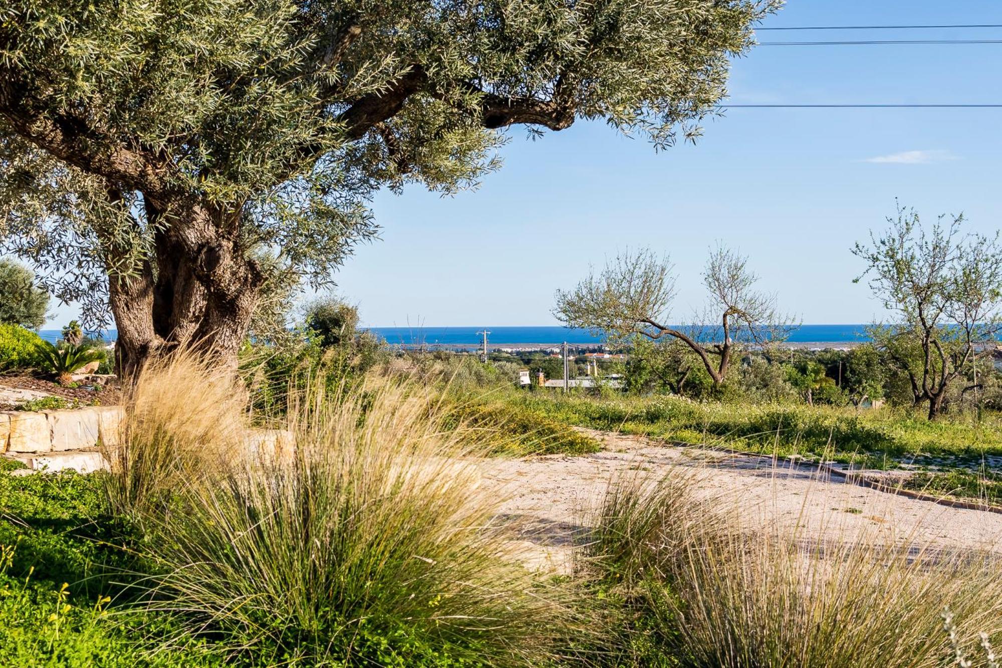 Willa Quinta Da Baleeira Tavira Zewnętrze zdjęcie